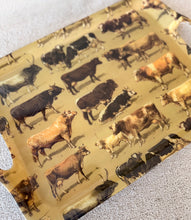 Load image into Gallery viewer, Melamine Tray, Cow/Cattle Print