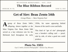 Load image into Gallery viewer, Get of Sire: Beau Zento 54th — Original Vintage Photo