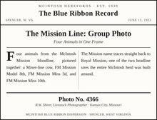 Load image into Gallery viewer, The Mission Line: Group Photo — Original Vintage Photo
