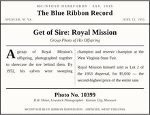 Load image into Gallery viewer, Get of Sire: Royal Mission — Original Vintage Photo