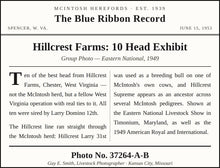 Load image into Gallery viewer, Hillcrest Farms: 10 Head Exhibit — Original Vintage Photo