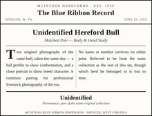 Load image into Gallery viewer, Unidentified Hereford Bull — Matched Pair, Body &amp; Head Study (Set of 2)