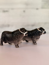 Load image into Gallery viewer, Vintage Angus Shakers