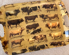Load image into Gallery viewer, Melamine Tray, Cow/Cattle Print