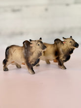Load image into Gallery viewer, Brahman Shakers