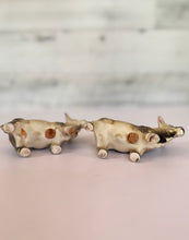 Load image into Gallery viewer, Brahman Shakers
