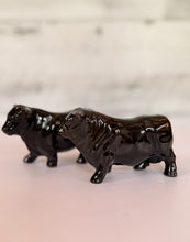 Load image into Gallery viewer, Angus Shakers (Glossy)