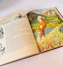 Load image into Gallery viewer, Album of Horses Book
