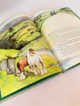 Load image into Gallery viewer, Bonny's Big Day Book