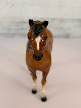 Load image into Gallery viewer, Glossy Breyer Horse (Chipped Ears)