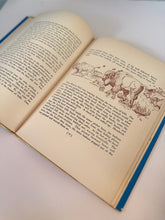 Load image into Gallery viewer, The Book of Indians