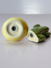 Load image into Gallery viewer, Cactus &amp; Sombrero S&amp;P