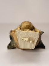 Load image into Gallery viewer, Marbled Chief Bookend Bust