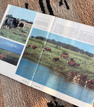 Load image into Gallery viewer, Texas Highways Magazine