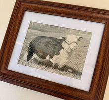Load image into Gallery viewer, Baca Princess 7th Vintage 1953 Hereford Photo