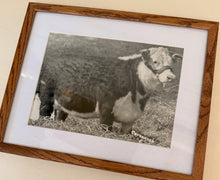 Load image into Gallery viewer, Little Lassie L Vintage 1953 Hereford Photo