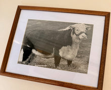 Load image into Gallery viewer, Silver Inez Vintage 1953 Hereford Photo