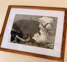 Load image into Gallery viewer, Miss Zendel 27th Vintage 1953 Hereford Photo
