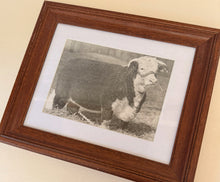 Load image into Gallery viewer, Miss Spencer Roane Vintage 1953 Hereford Photo