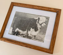 Load image into Gallery viewer, Lady Lan Domino Vintage 1953 Hereford Photo