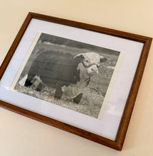 Load image into Gallery viewer, Royal Mission Vintage 1953 Hereford Photo