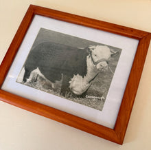 Load image into Gallery viewer, Royal Prince Wilton Vintage 1953 Hereford Photo