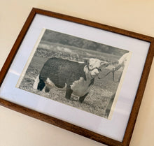 Load image into Gallery viewer, Larryella 3 Vintage 1953 Hereford Photo