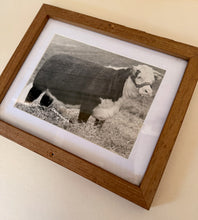 Load image into Gallery viewer, Silver Mix Lass Vintage 1953 Hereford Photo