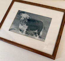 Load image into Gallery viewer, Baca Princess 4th Vintage 1953 Hereford Photo