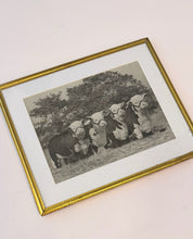 Load image into Gallery viewer, Get of Sire: Royal Mission — Original Vintage Photo