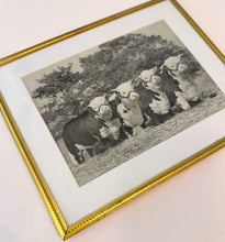 Load image into Gallery viewer, Get of Sire: Royal Mission — Original Vintage Photo