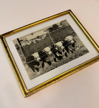 Load image into Gallery viewer, Get of Sire: Beau Zento 54th — Original Vintage Photo