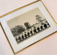 Load image into Gallery viewer, Hillcrest Farms: 10 Head Exhibit — Original Vintage Photo