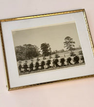 Load image into Gallery viewer, Hillcrest Farms: 10 Head Exhibit — Original Vintage Photo