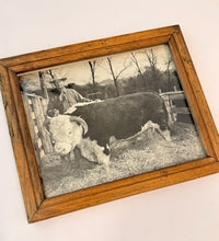 Load image into Gallery viewer, Alfred M. Collins — Original Vintage Photo