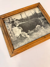 Load image into Gallery viewer, Alfred M. Collins — Original Vintage Photo