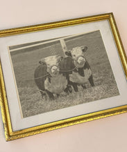 Load image into Gallery viewer, Baca Princess 4th &amp; Baca Princess 2nd — Original Vintage Photo
