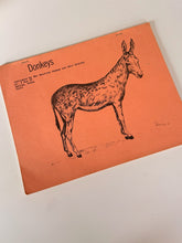 Load image into Gallery viewer, Vintage Donkey &amp; Mule Society Magazines