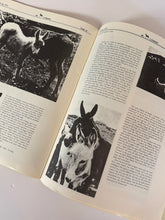 Load image into Gallery viewer, Vintage Donkey &amp; Mule Society Magazines