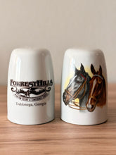 Load image into Gallery viewer, Horse Head S&amp;P Shakers