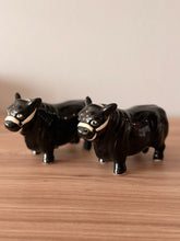 Load image into Gallery viewer, Large Angus Shakers