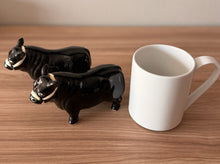Load image into Gallery viewer, Large Angus Shakers