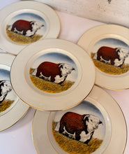 Load image into Gallery viewer, Hereford Plate