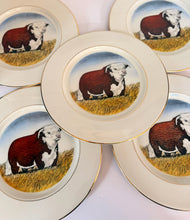 Load image into Gallery viewer, Hereford Plate