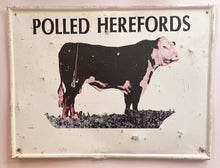 Load image into Gallery viewer, Vintage Polled Hereford Metal Sign