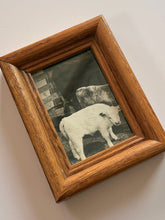 Load image into Gallery viewer, Mini Baby Angus Framed Portrait