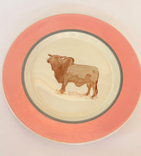 Load image into Gallery viewer, Pink Brahma Bull Plate