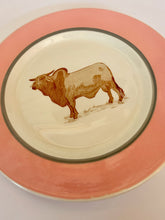 Load image into Gallery viewer, Pink Brahma Bull Plate