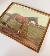 Load image into Gallery viewer, Framed Brown Horse