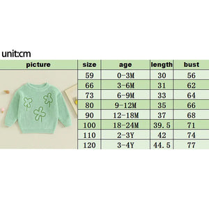RTS: Clover Leaf Embroidered Sweater-